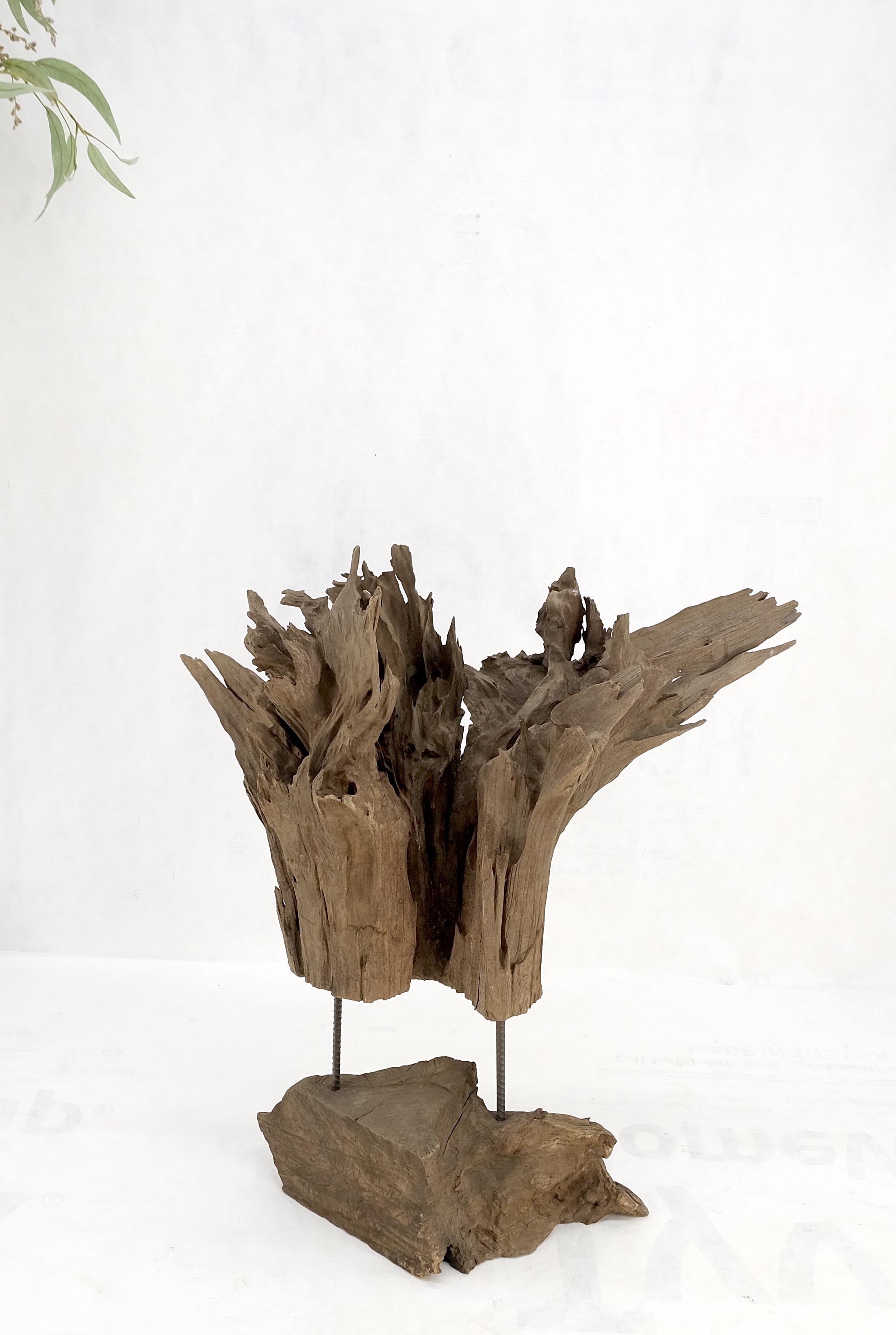 driftwood plant stand