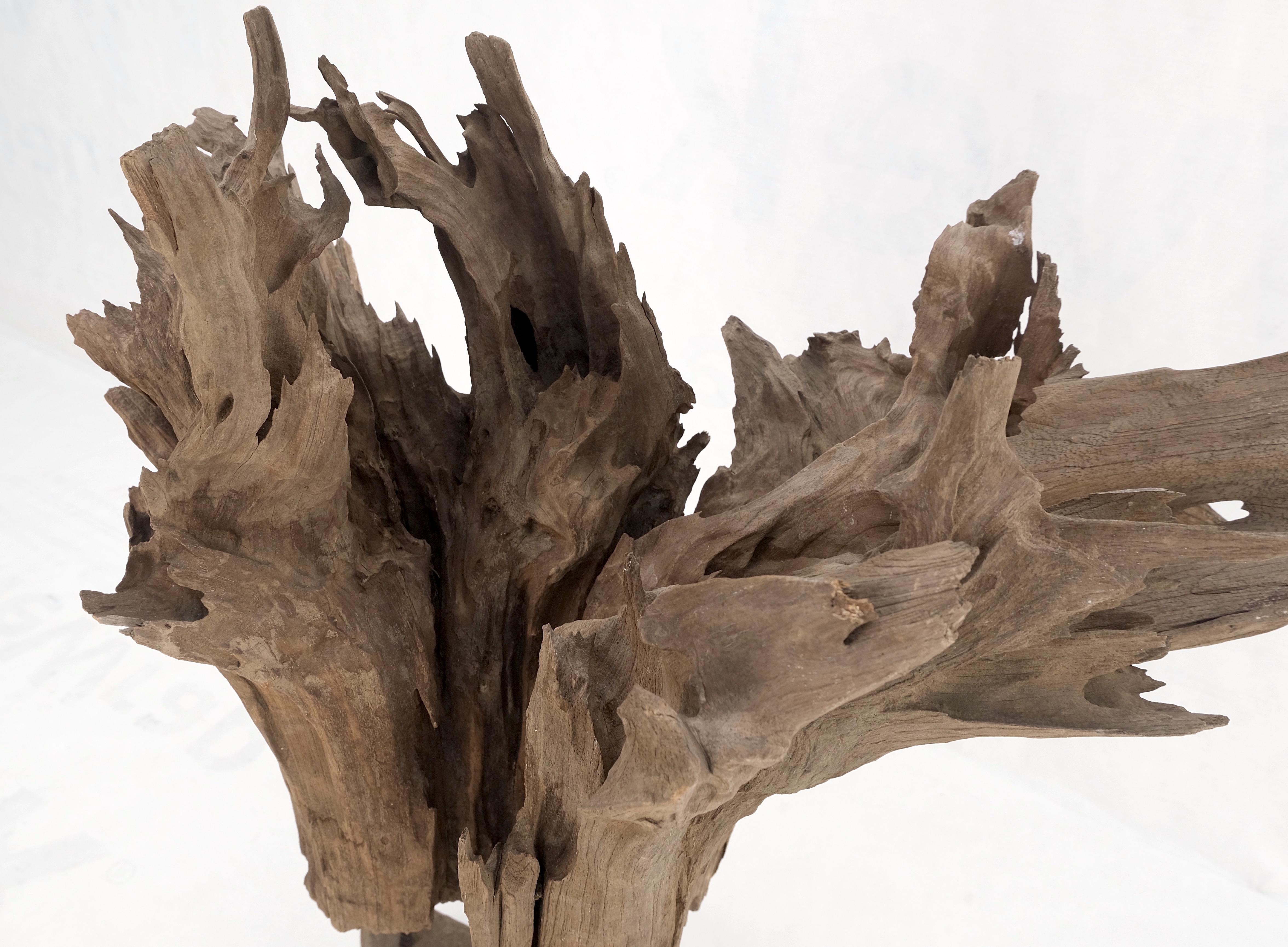 large driftwood for sale