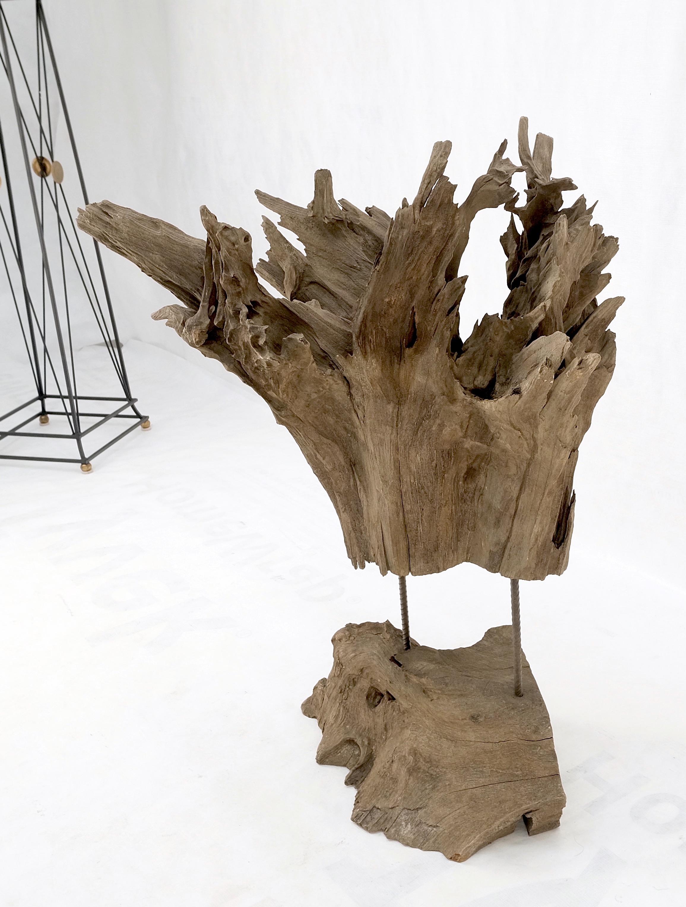 20th Century Large Mid-Century Modern Abstract Driftwood Floating Suspended Sculpture For Sale