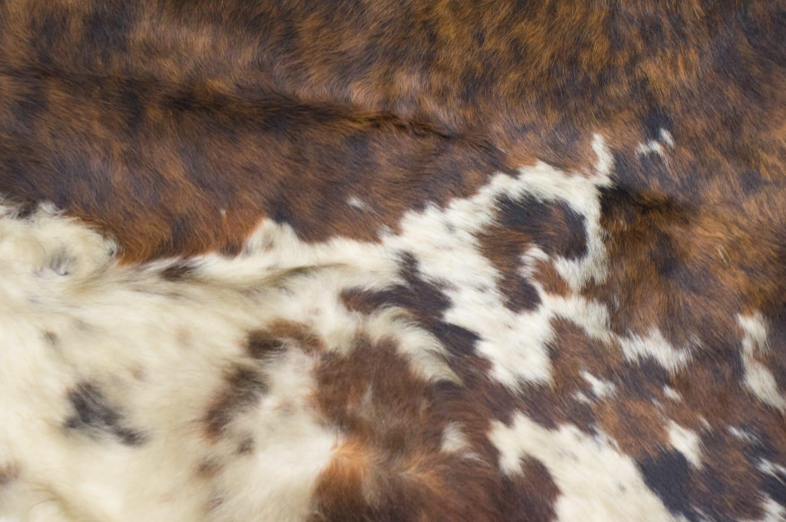 Large Mid-Century Modern Cowhide Rug, 1960s Brazil In Good Condition In Nürnberg, Bayern