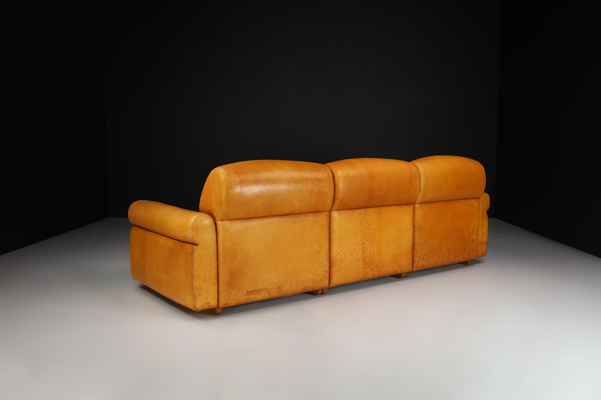 Large Mid-Century Modern Lounge Sofa in Cognac Leather, Italy 1960s For Sale 4