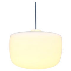 Large Mid Century Opaline Glass Shades