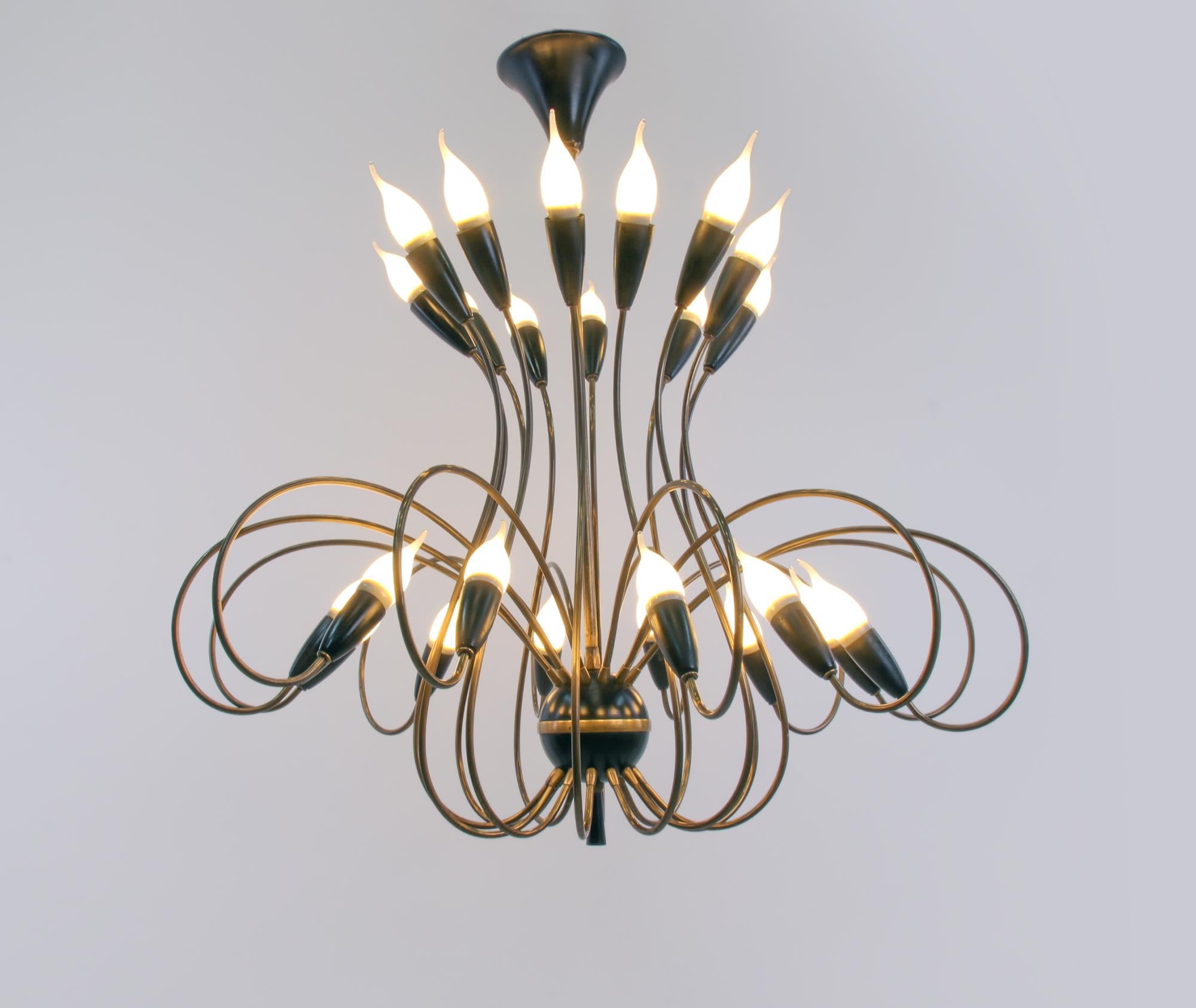 Spectacular large chandelier with 24 curved brass arms ending with black lampholders. Chandelier illuminates beautifully and offers a lot of light. Gem from the time. With this light you make a clear statement in your interior design. A real