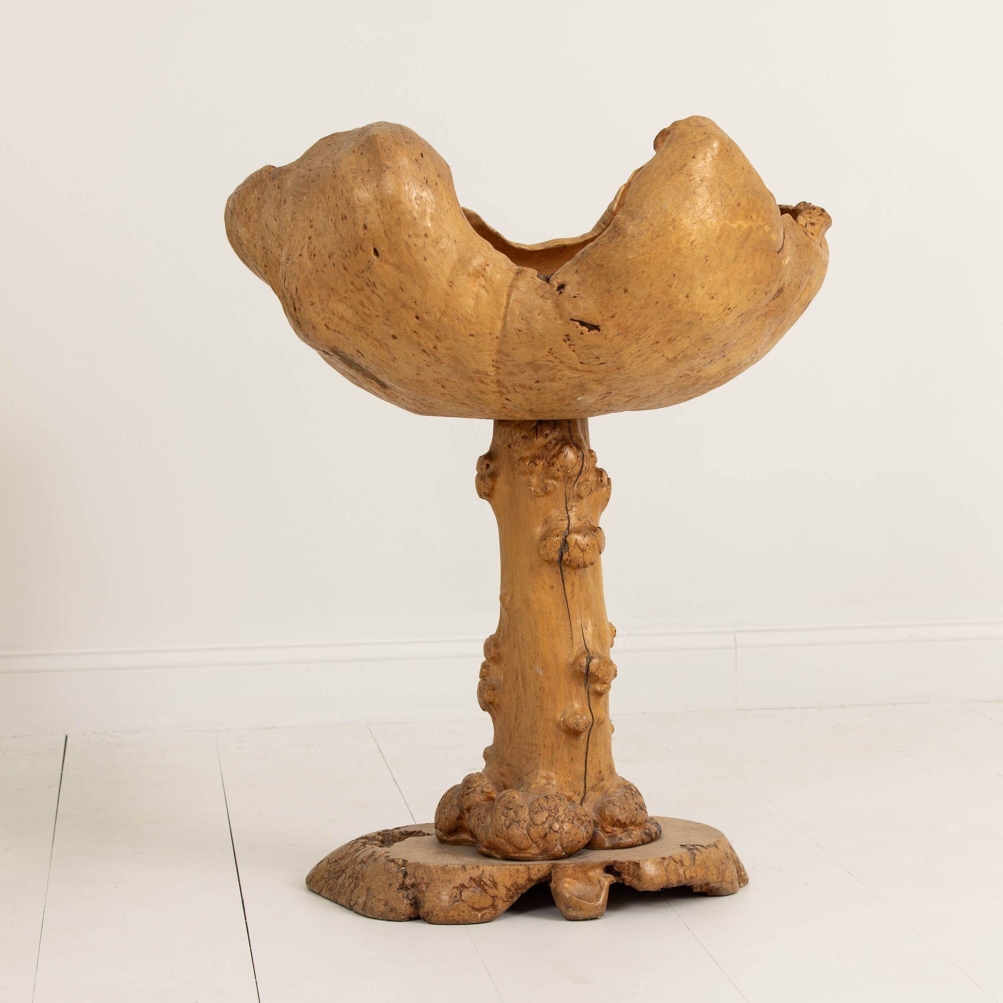 Large Mid Century Swedish Birch and Pine Root Bowl Tazza on Base For Sale 8