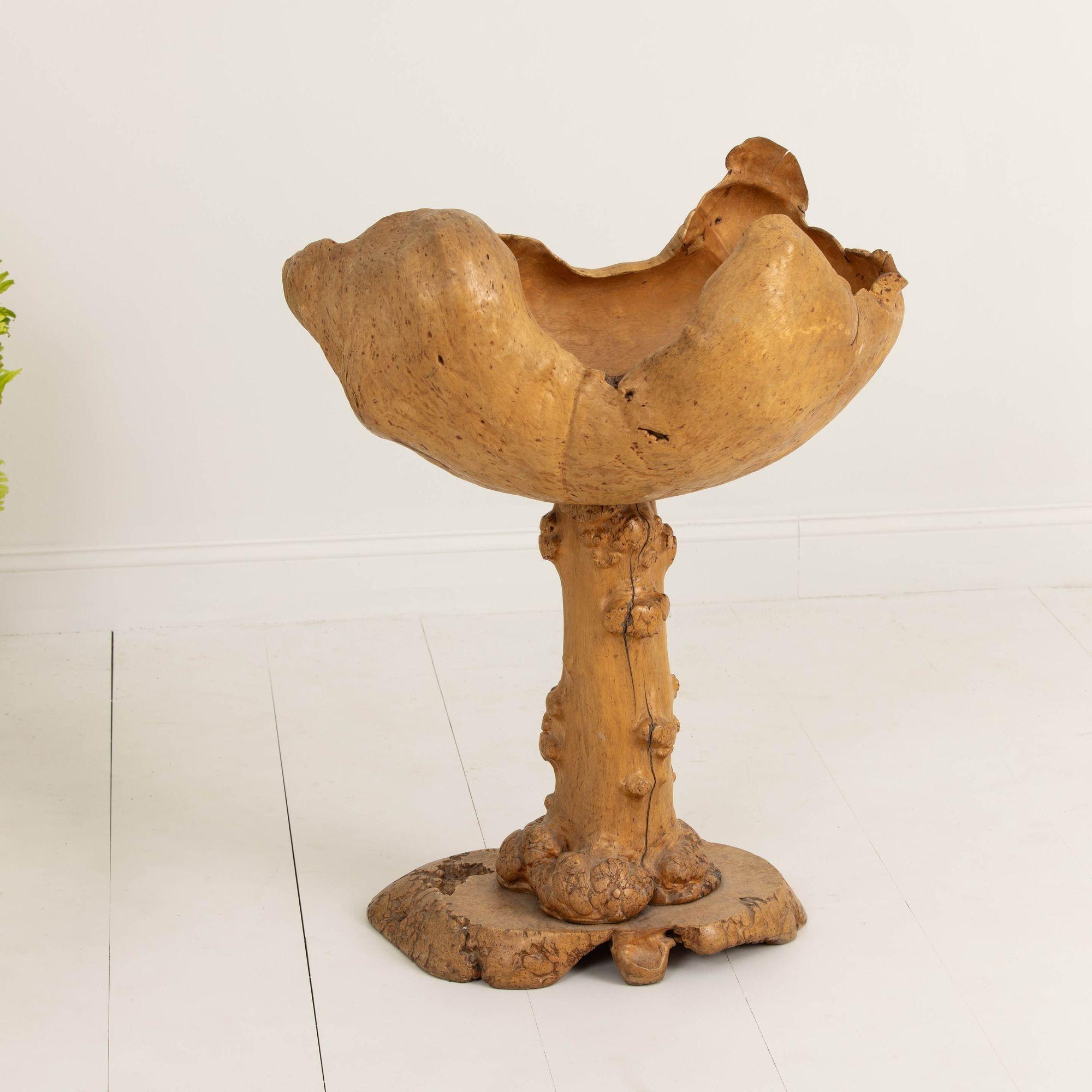 Large Mid Century Swedish Birch and Pine Root Bowl Tazza on Base For Sale 9