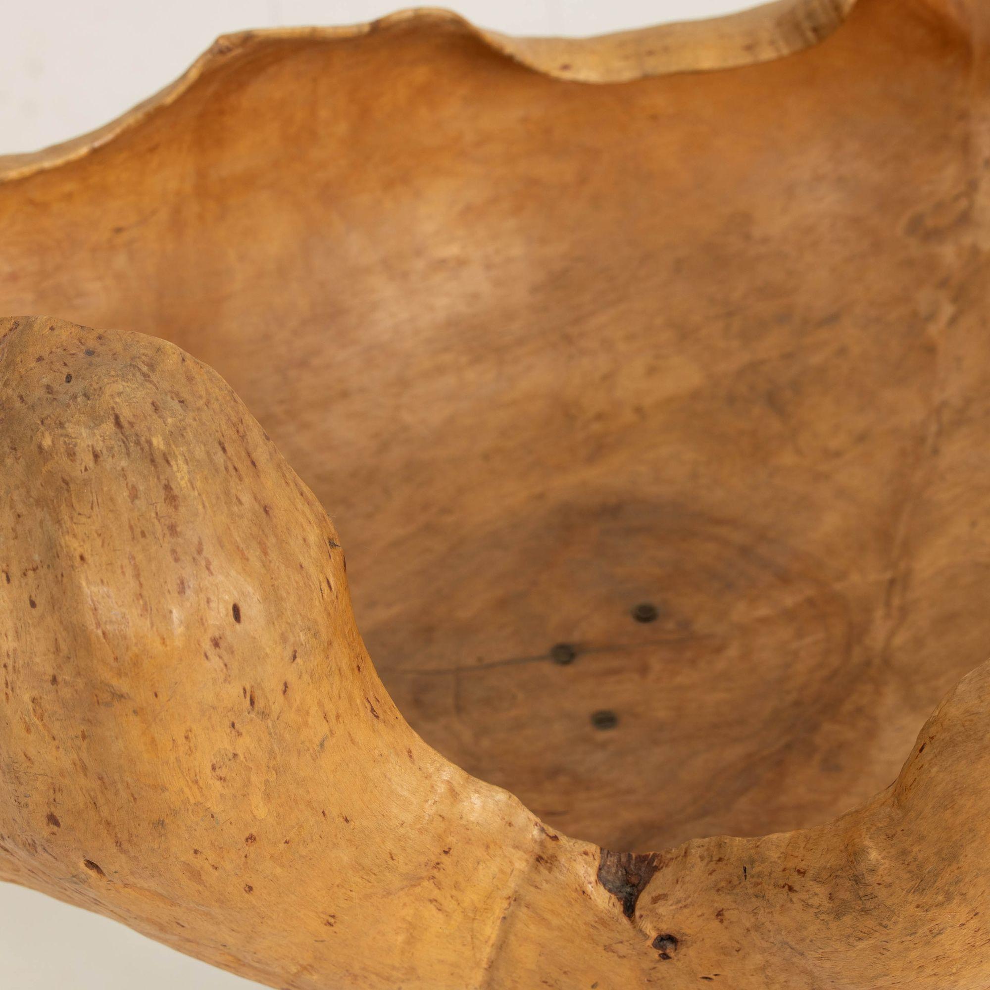 Large Mid Century Swedish Birch and Pine Root Bowl Tazza on Base For Sale 11