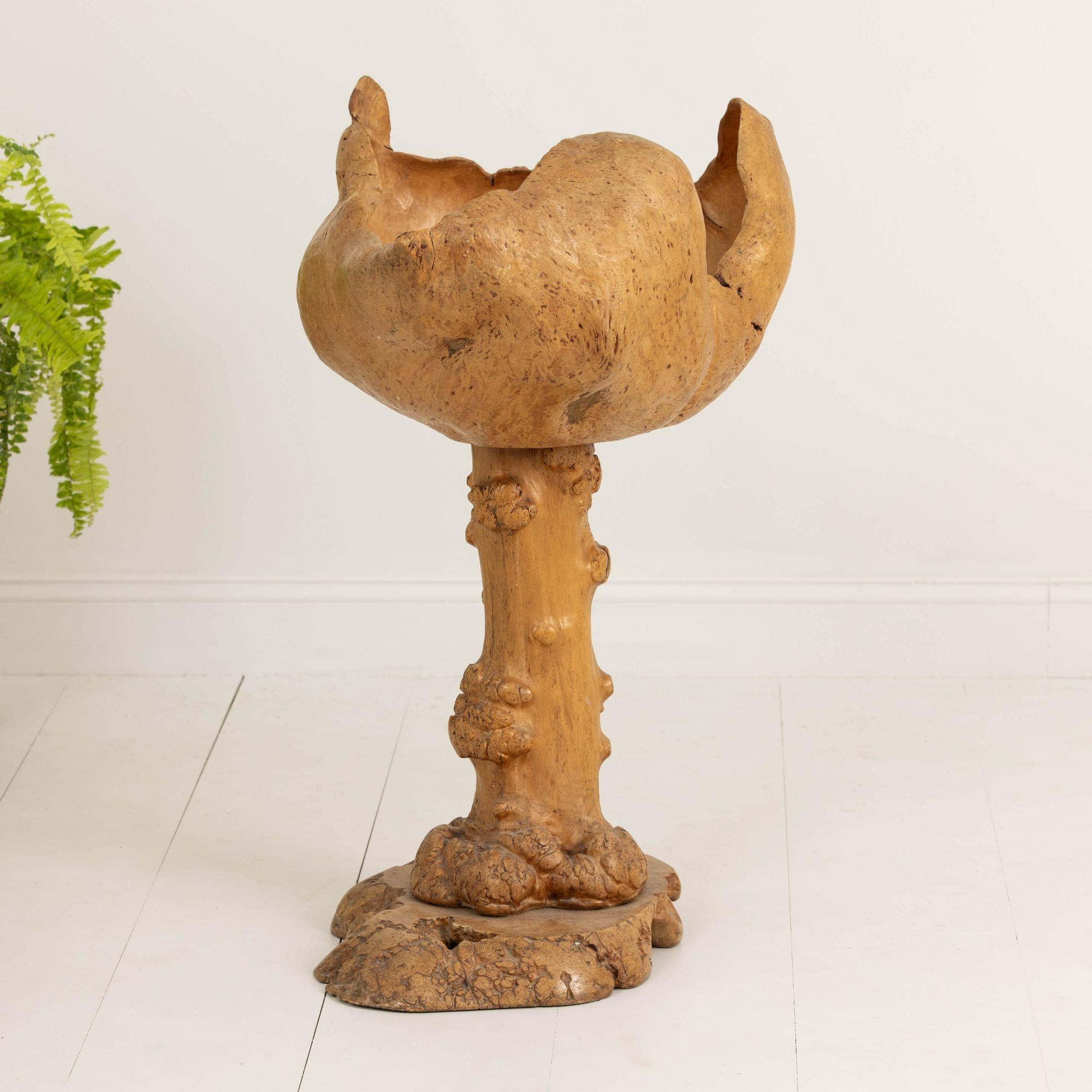 Large Mid Century Swedish Birch and Pine Root Bowl Tazza on Base For Sale 12