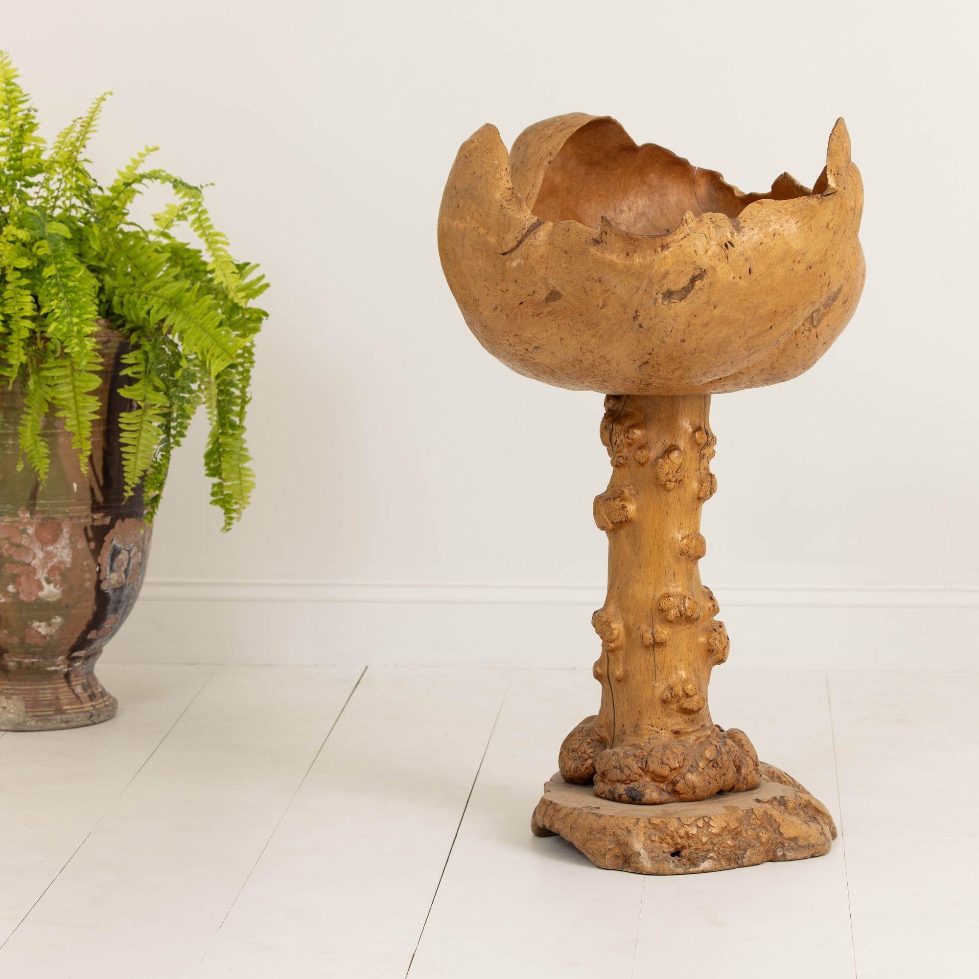 Large Mid Century Swedish Birch and Pine Root Bowl Tazza on Base For Sale 13