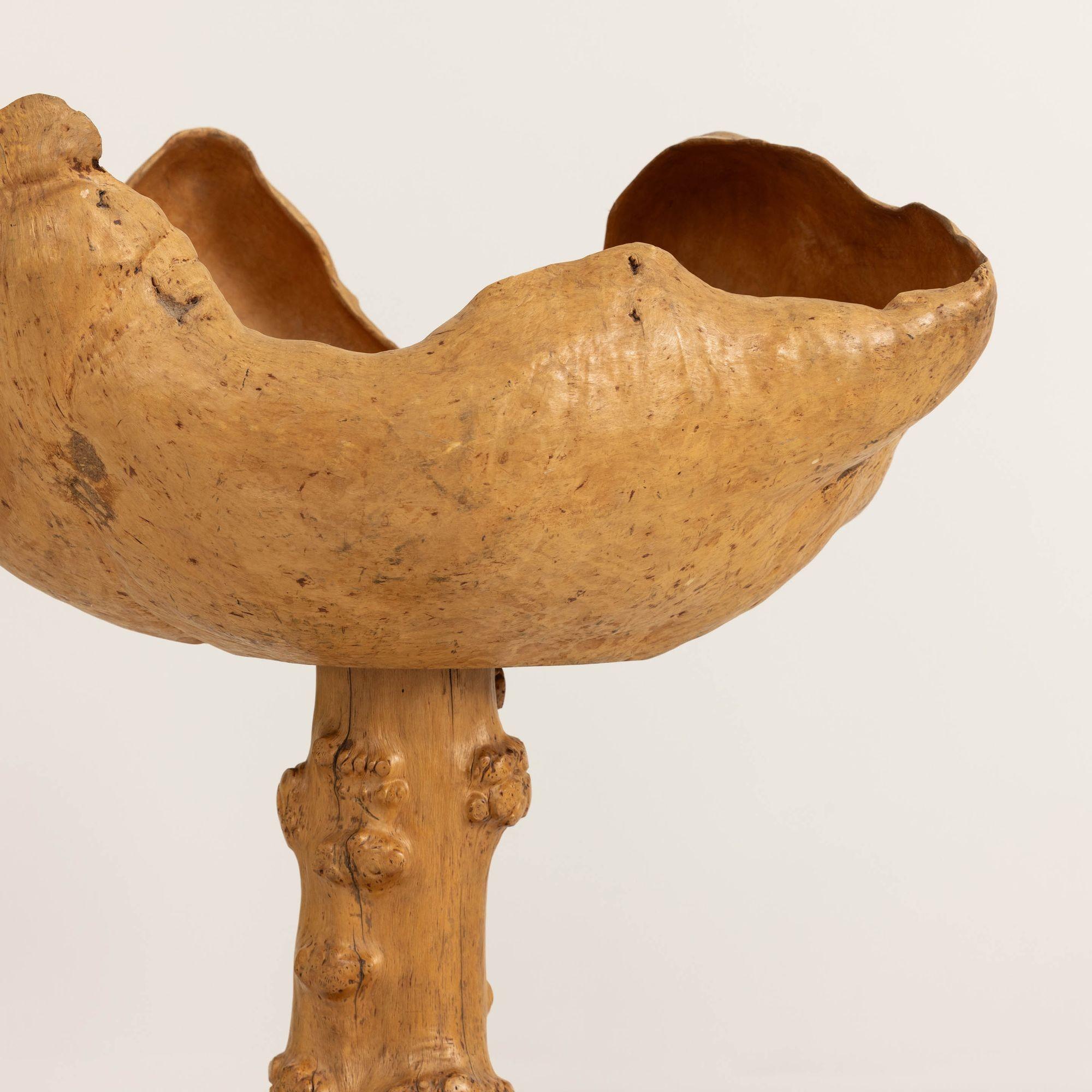 Large Mid Century Swedish Birch and Pine Root Bowl Tazza on Base In Excellent Condition For Sale In Wichita, KS