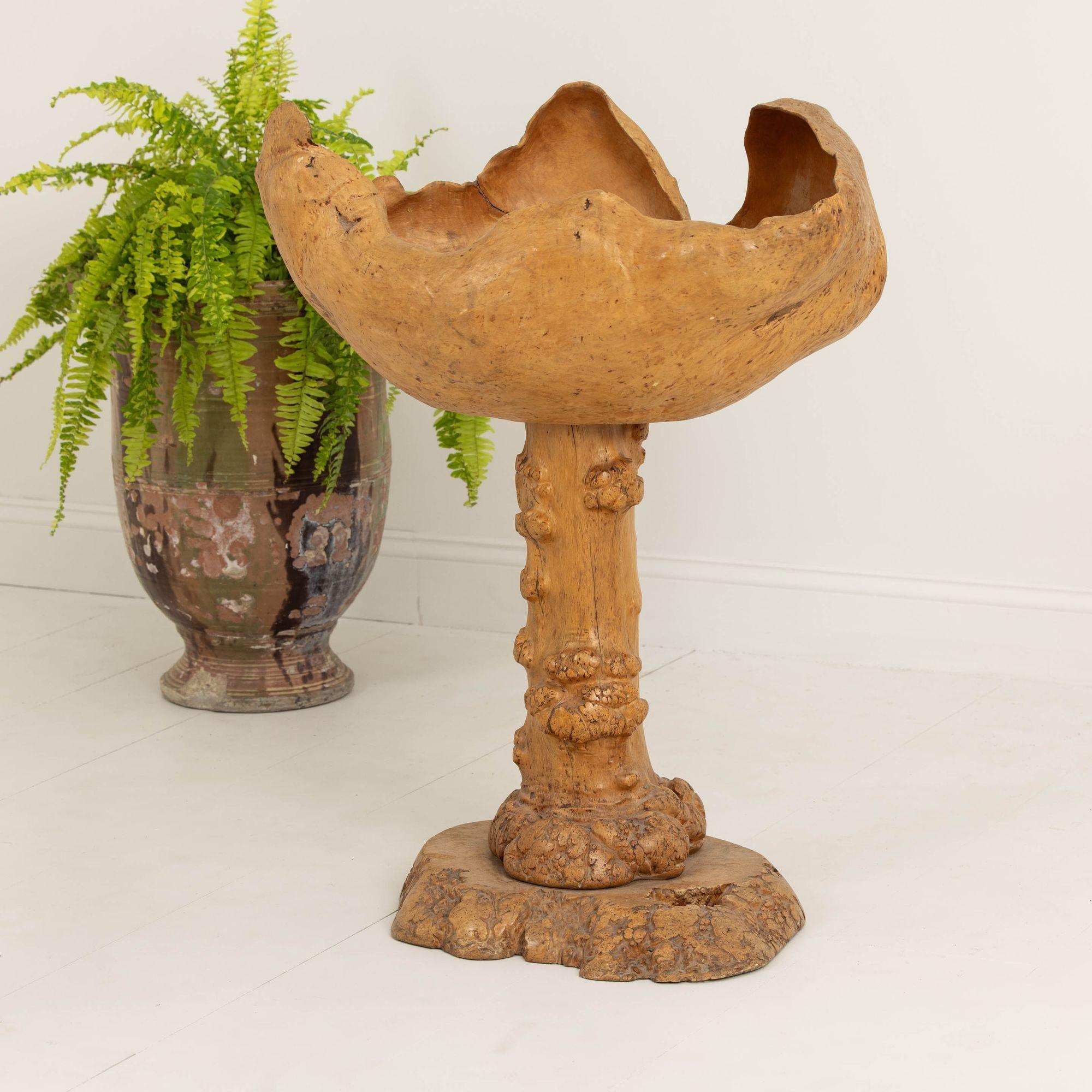 20th Century Large Mid Century Swedish Birch and Pine Root Bowl Tazza on Base For Sale
