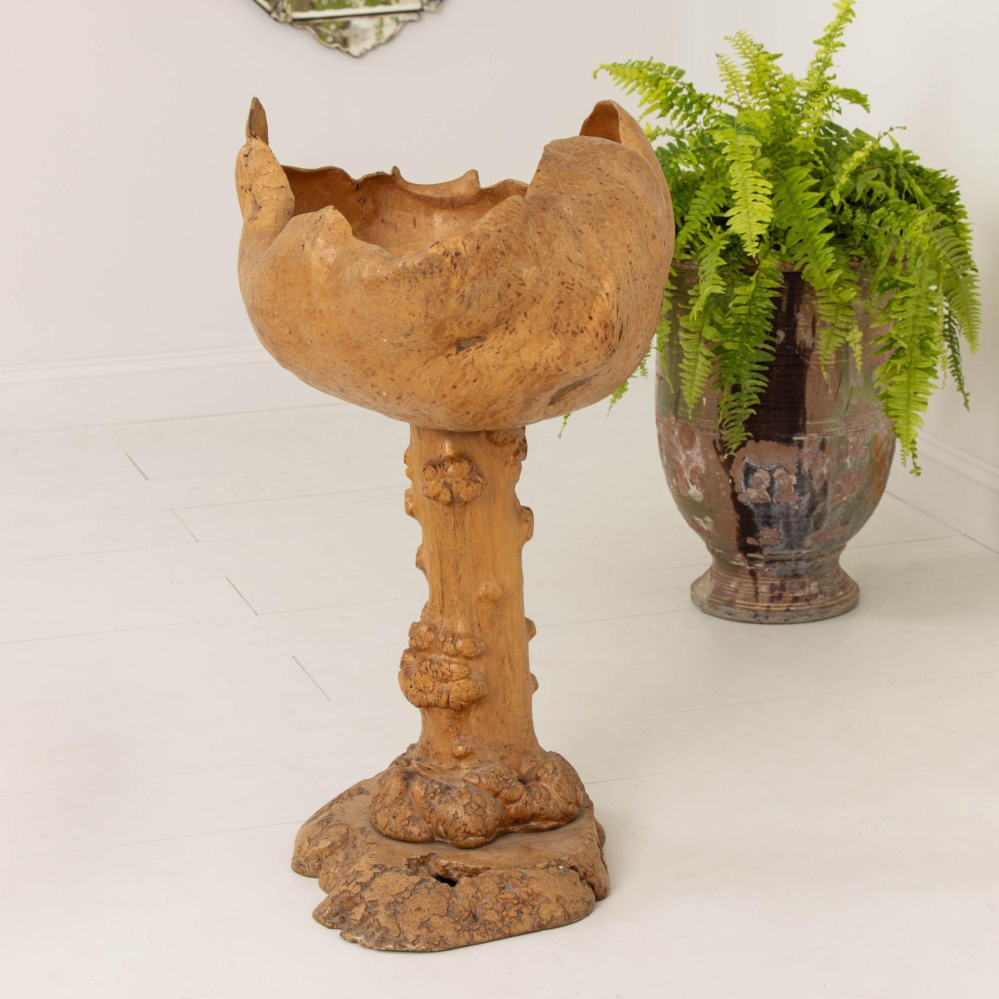 Large Mid Century Swedish Birch and Pine Root Bowl Tazza on Base For Sale 1