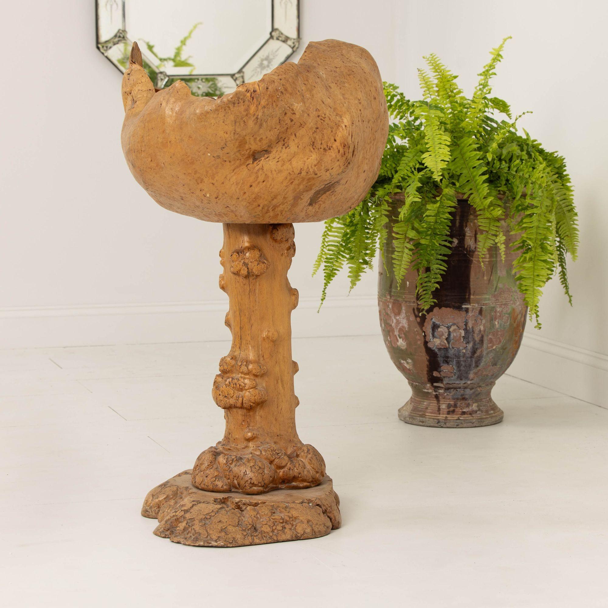 Large Mid Century Swedish Birch and Pine Root Bowl Tazza on Base For Sale 2