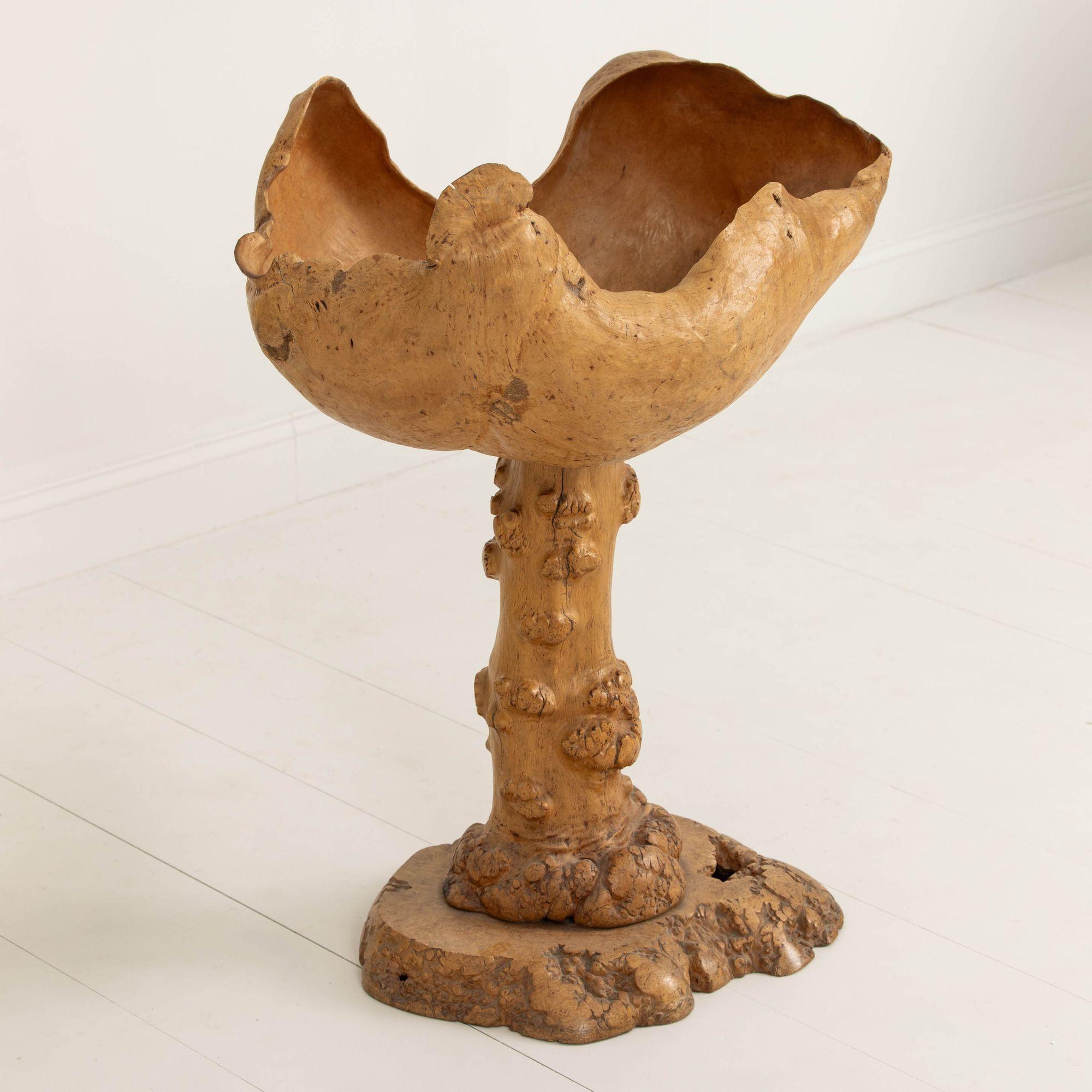 Large Mid Century Swedish Birch and Pine Root Bowl Tazza on Base For Sale 3