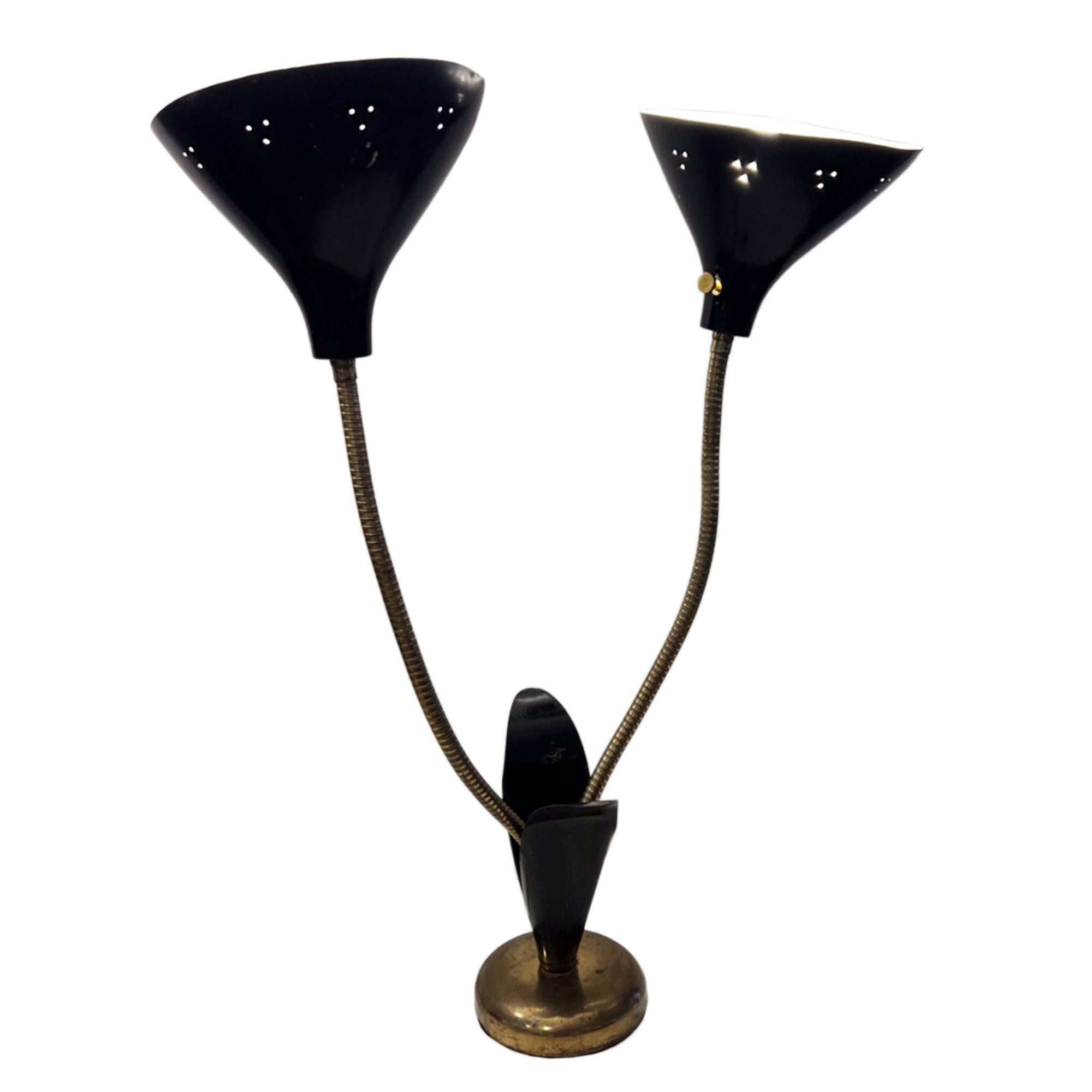 Questa insolita lampada è stata realizzata in Francia negli anni Sessanta. 

Completamente regolabile con bracci flessibili in ottone e nello stile di una pianta fiorita con le due luci come gigli. Dai un'occhiata a tutte le immagini per vedere come