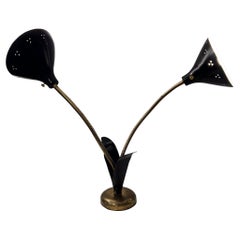 Large Midcentury Adjustable French 'Lily' Lamp