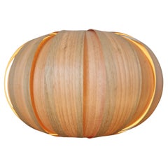 Large Midcentury Venner Pendant ÚLUV, 1960s