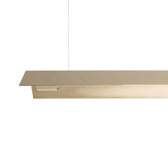 Large Misalliance Solid Brass Suspended Light by Lexavala