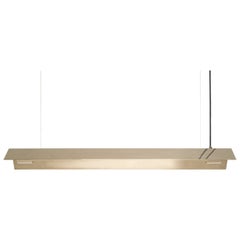 Large Misalliance Solid Brass Suspended Light by Lexavala