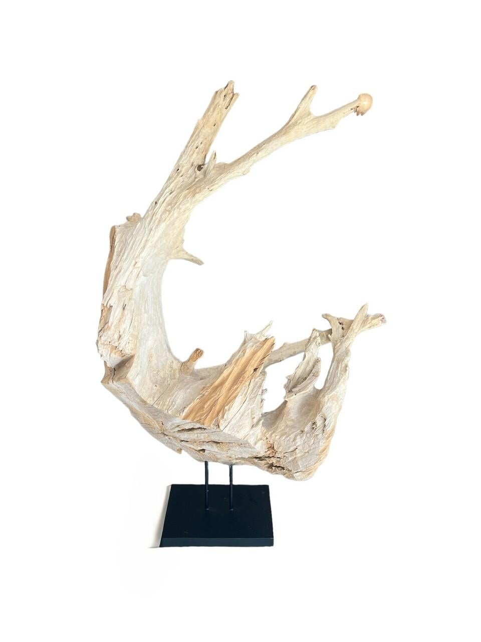 Adorn your space with striking contemporary flair! Standing at an impressive 46 inches tall, this modern abstract driftwood sculpture seamlessly blends organic elements with industrial chic. Crafted atop a sturdy concrete base wrapped in sleek
