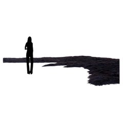 Collectible design large black sustainable sheepskin rug by Roos Schneijderberg
