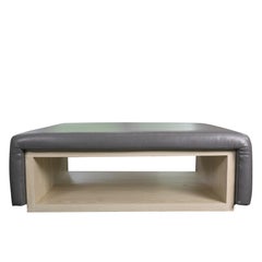 Large Modern Coffee Table with Cubby