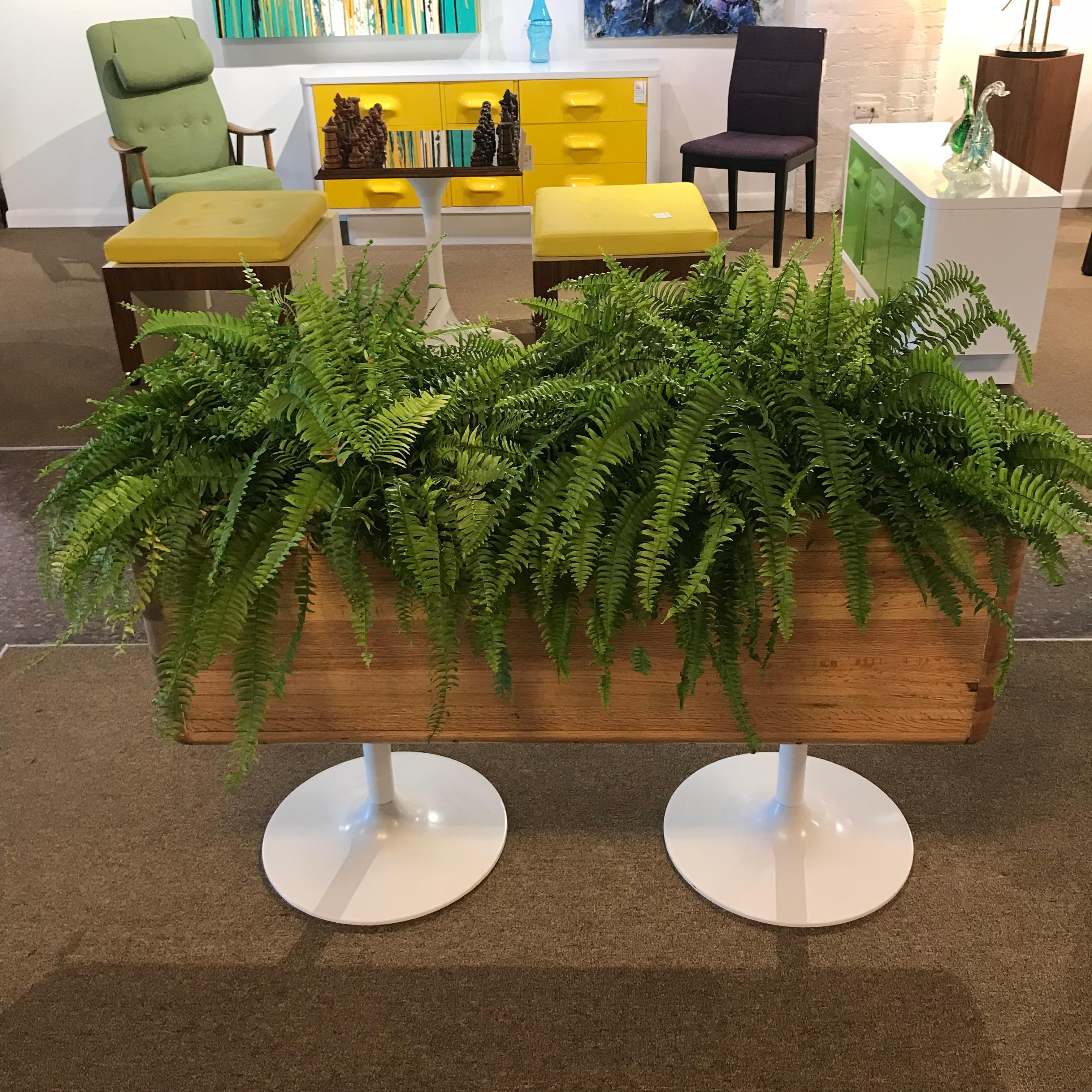 Large Modern Solid Oak Planter on White Tulip Bases with Metal Insert For Sale 1