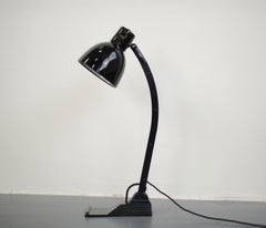 Large Modernist Desk Lamp by Schneider, circa 1930s