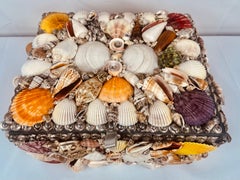 Large multi Colored Natural Sea Shell Covered Box-hinged