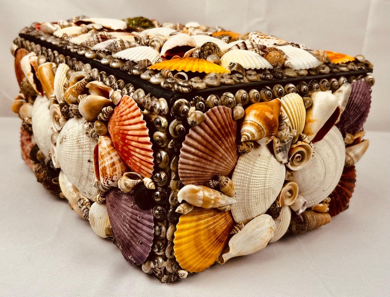 Scatola con cerniera rivestita di conchiglie marine naturali