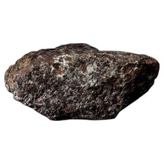 Large Muonionalusta Meteorite from Sweden