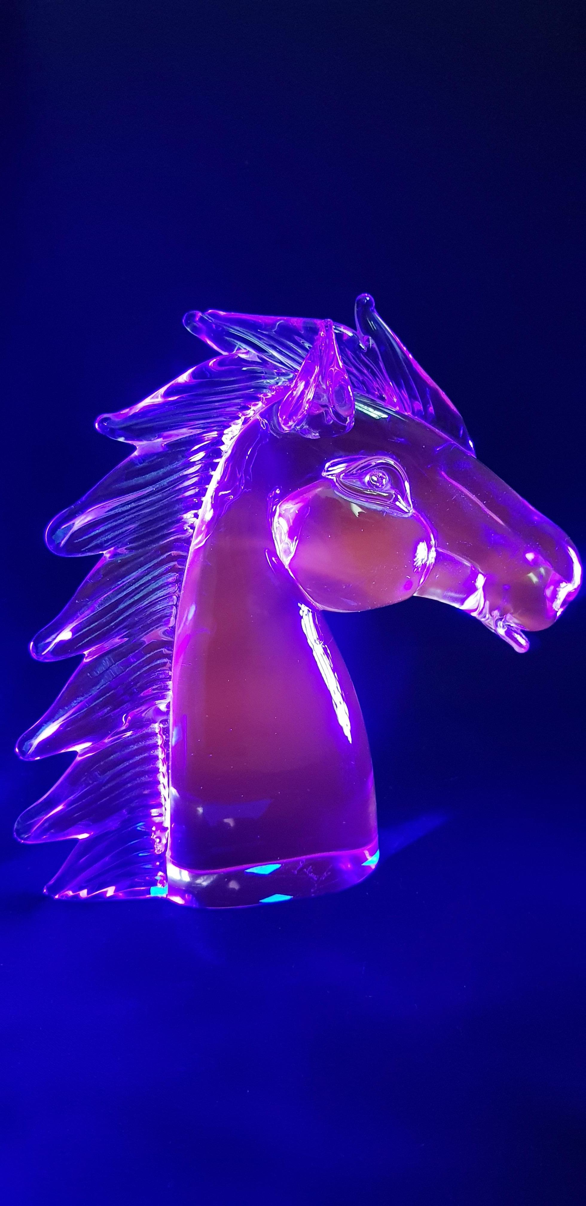 Large Murano Glass Alexandrite Neodymium Horse Head, Signed by Licio Zanetti For Sale 3