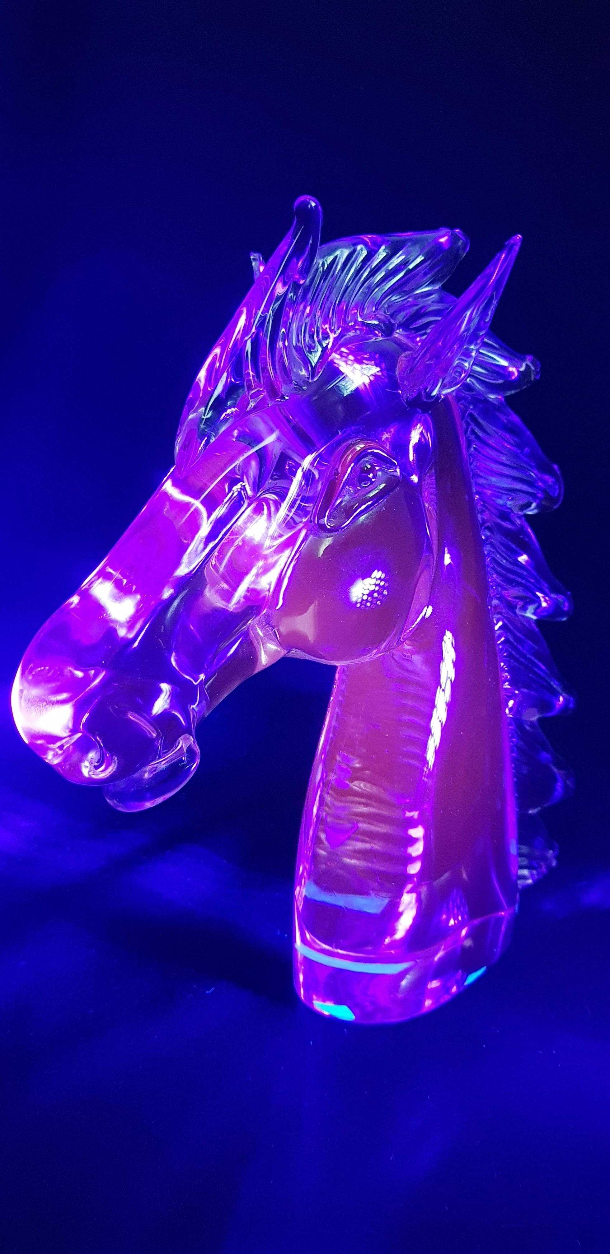 Large Murano Glass Alexandrite Neodymium Horse Head, Signed by Licio Zanetti For Sale 5