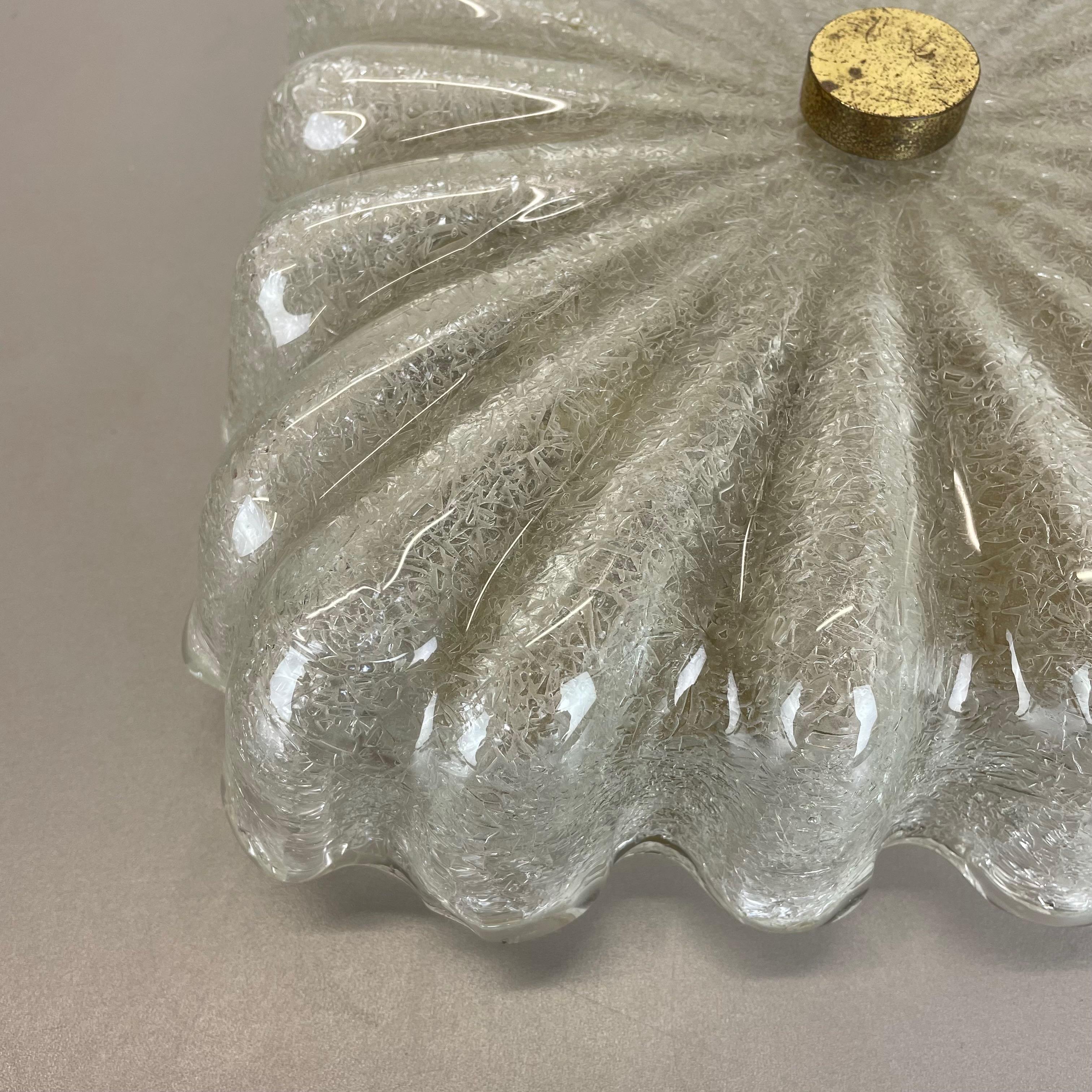 Große Wandleuchte aus Murano-Eisglas mit Blumenmuster von Fischer Leuchten, Deutschland (Metall) im Angebot