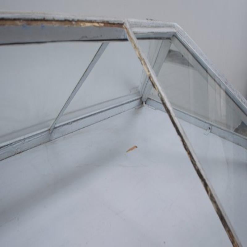 Grande vetrina da museo di storia naturale in vetro e metallo, Francia, anni '90 del XIX secolo in vendita 5