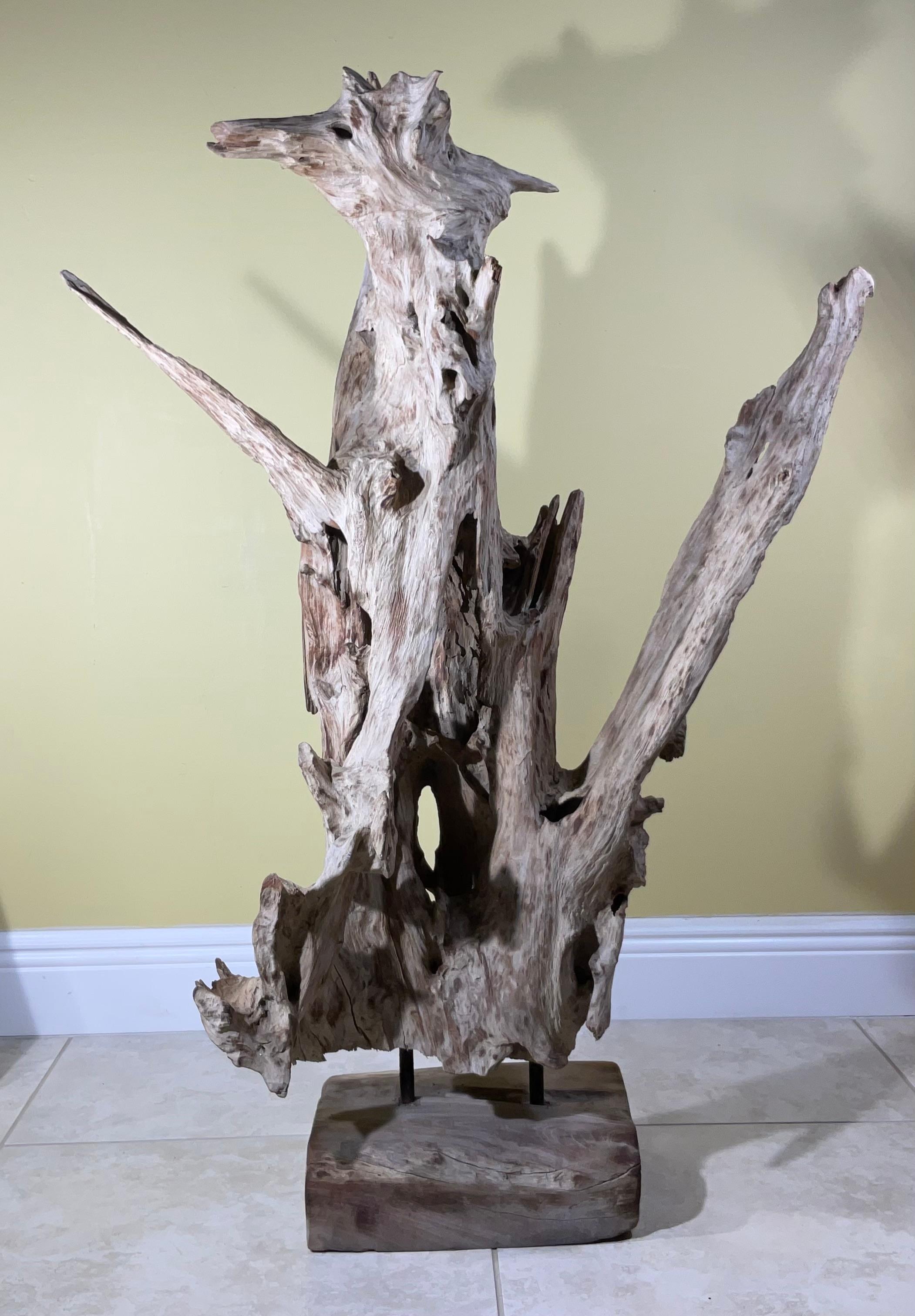 Grande scultura astratta Nature in legno driftwood in vendita 7