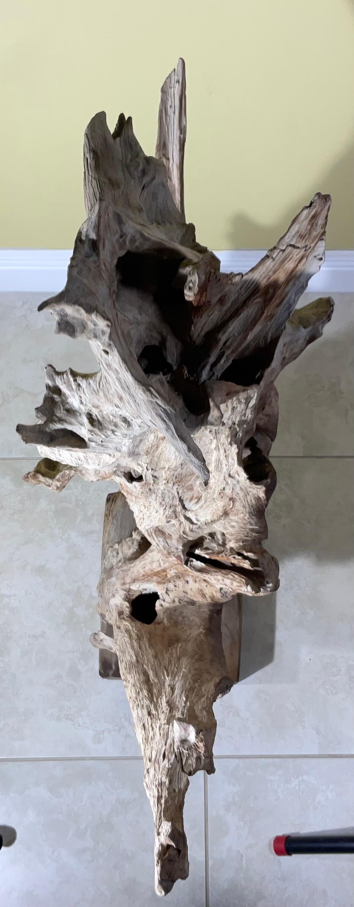 Grande scultura astratta Nature in legno driftwood in vendita 8