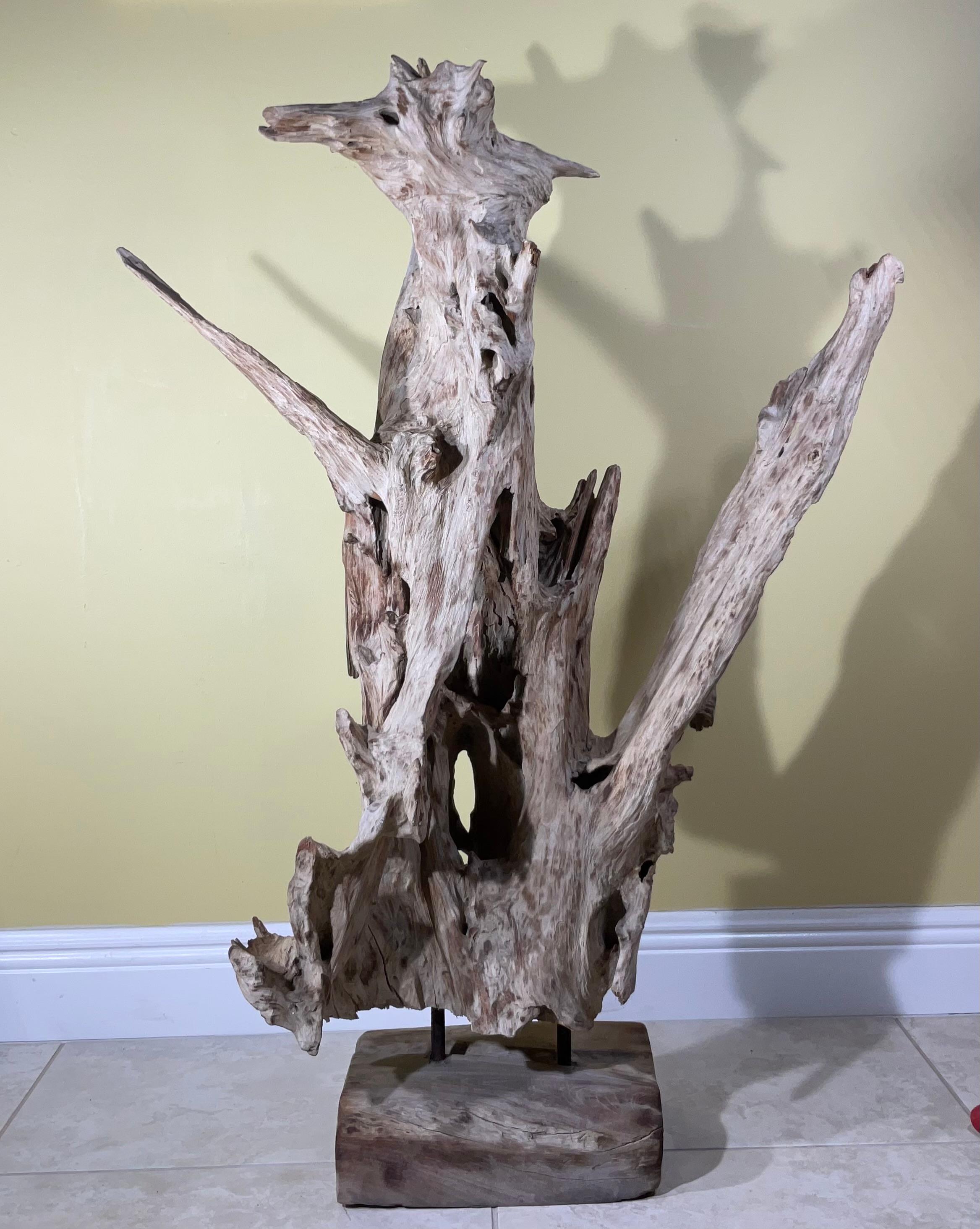 Grande scultura astratta Nature in legno driftwood in vendita 9