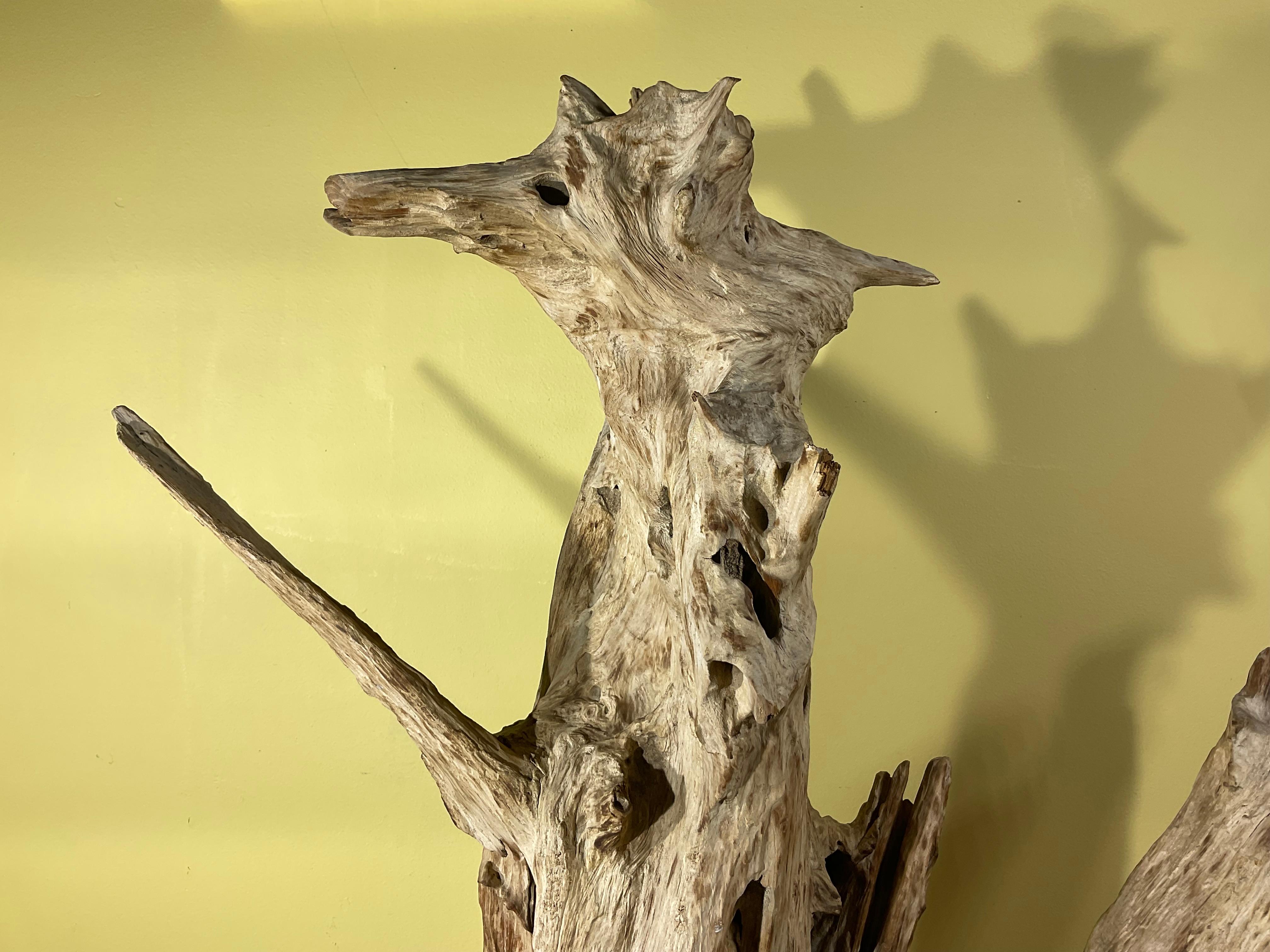 Eccezionale scultura in legno di deriva, come si trova in natura, superficie splendidamente invecchiata e sottoposta alle intemperie, fori e fessure molto interessanti da vedere e immaginare, montata professionalmente e fissata con due barre di