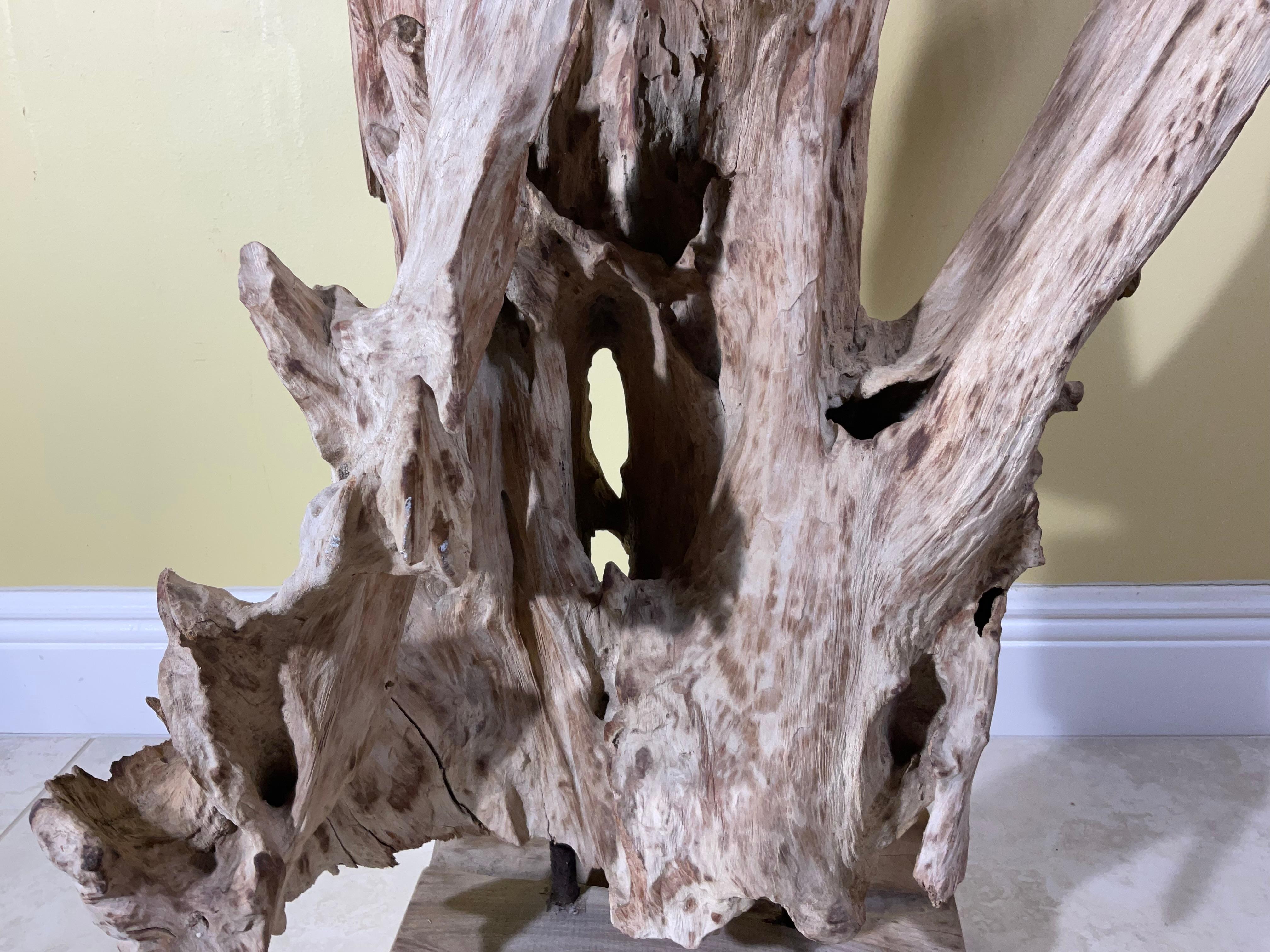 Sconosciuto Grande scultura astratta Nature in legno driftwood in vendita