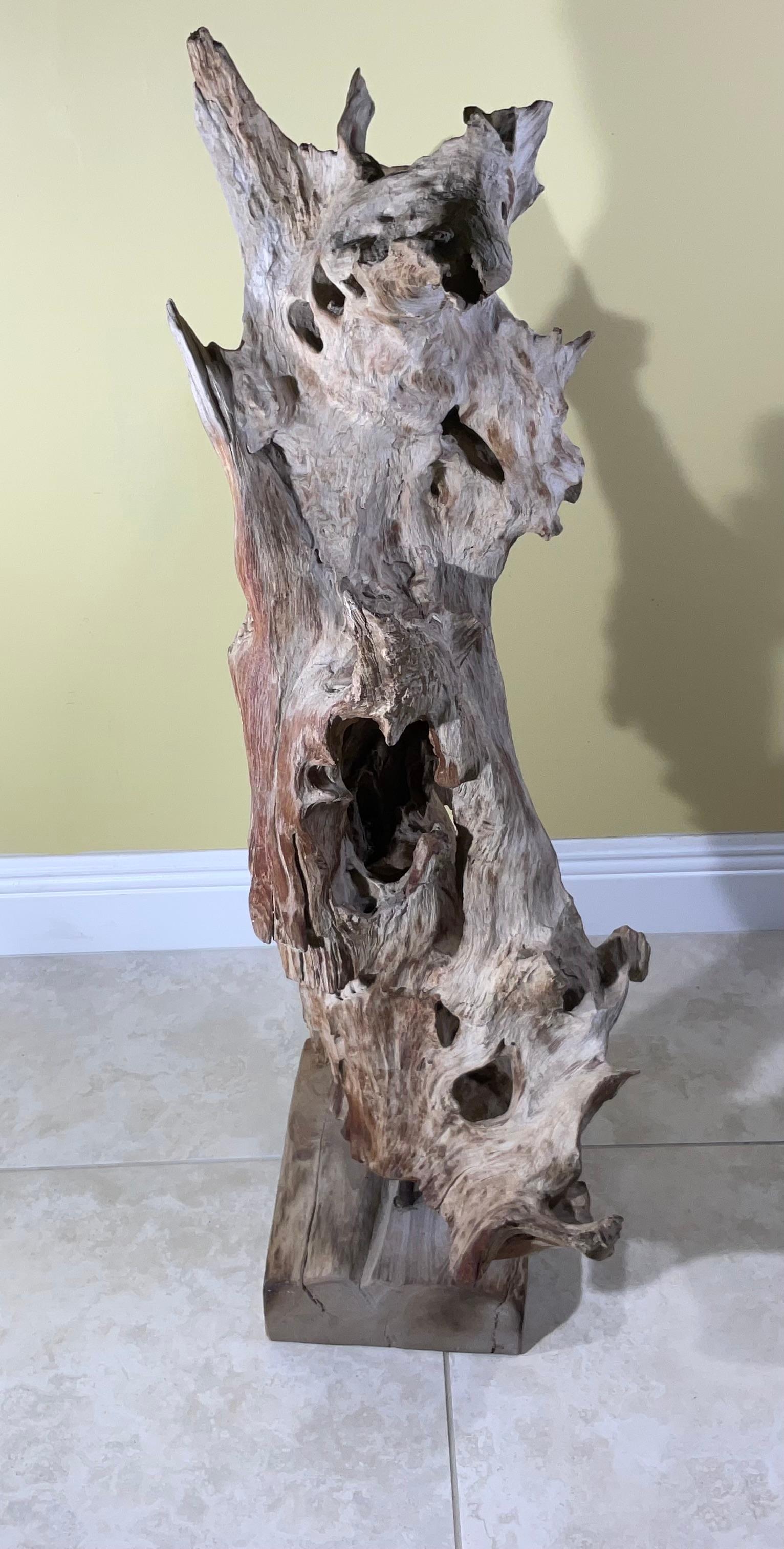 XIX secolo Grande scultura astratta Nature in legno driftwood in vendita