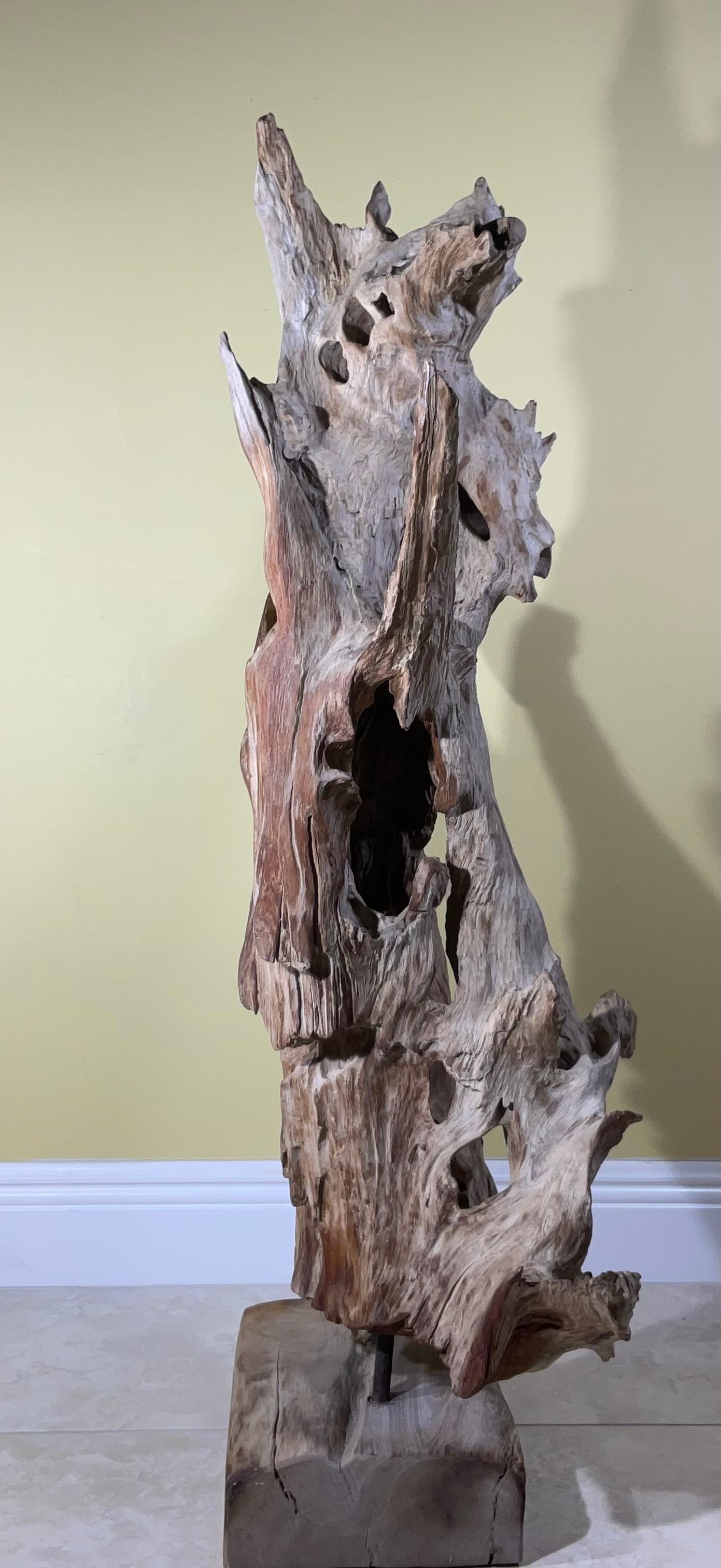 Ferro Grande scultura astratta Nature in legno driftwood in vendita
