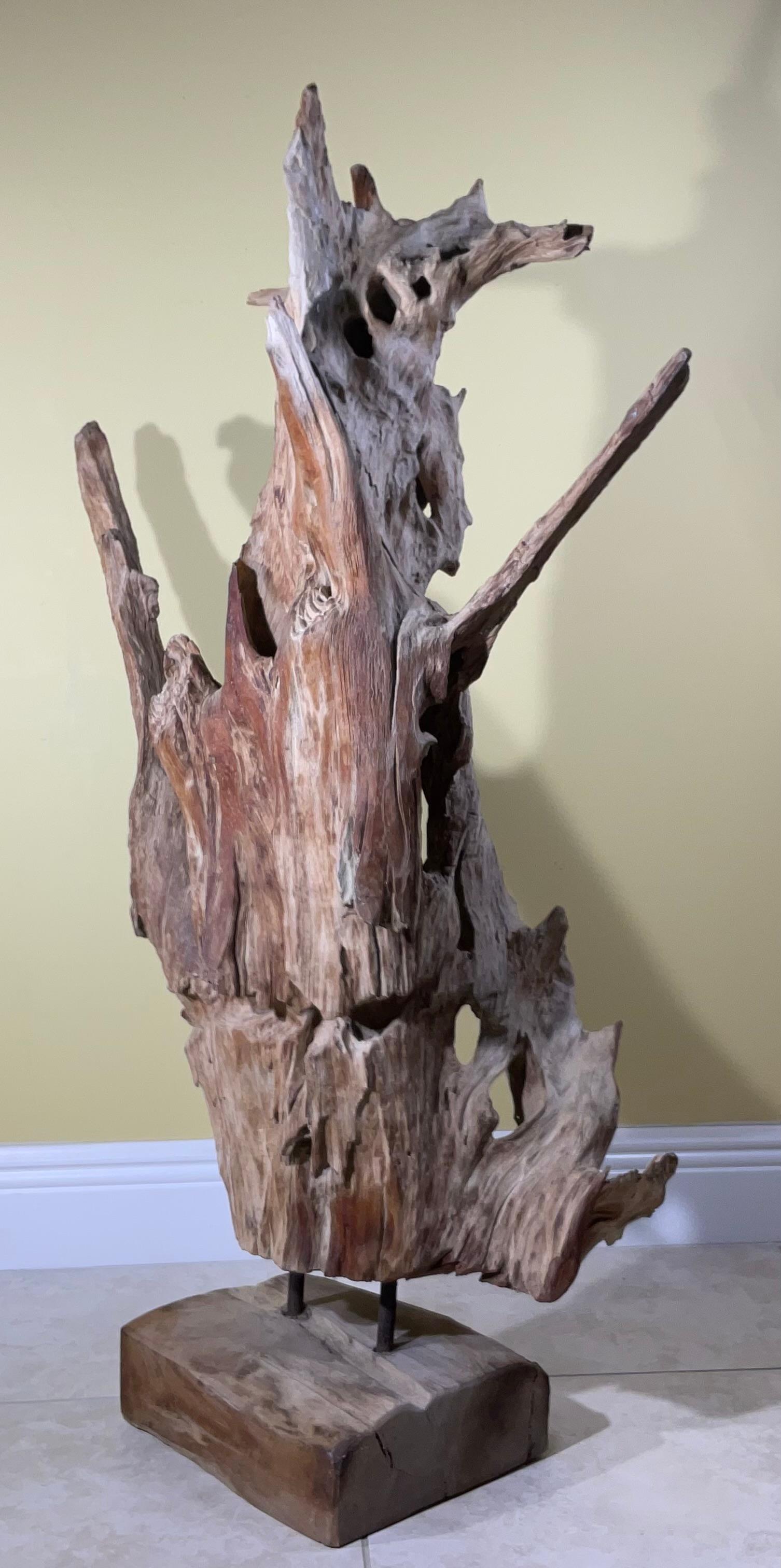 Grande scultura astratta Nature in legno driftwood in vendita 1