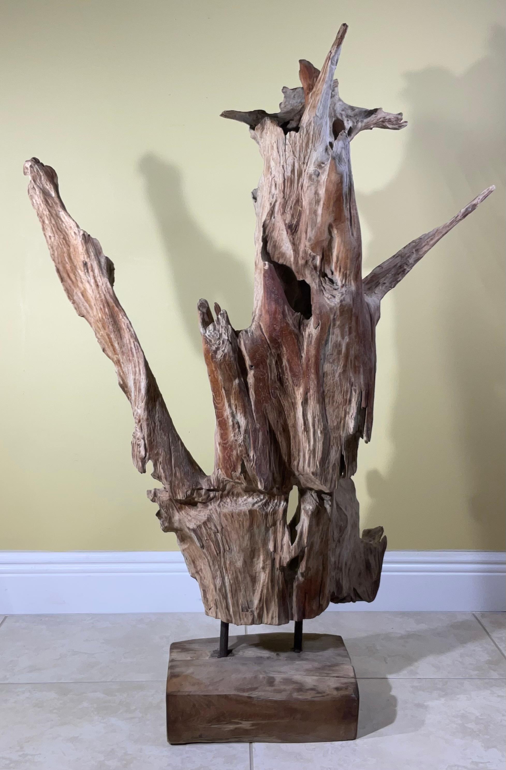 Grande scultura astratta Nature in legno driftwood in vendita 2