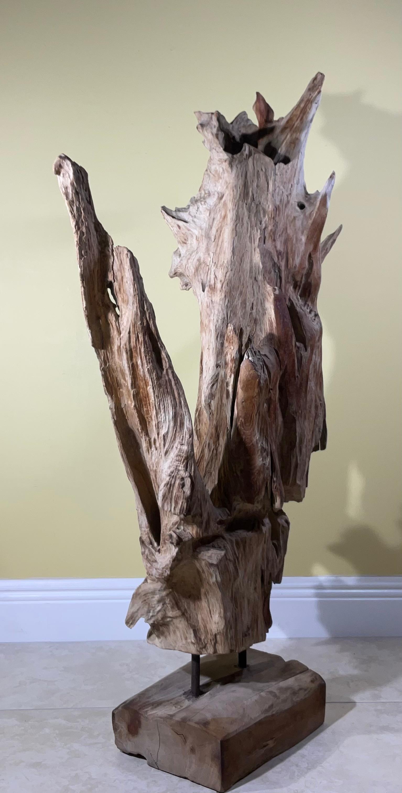 Grande scultura astratta Nature in legno driftwood in vendita 3