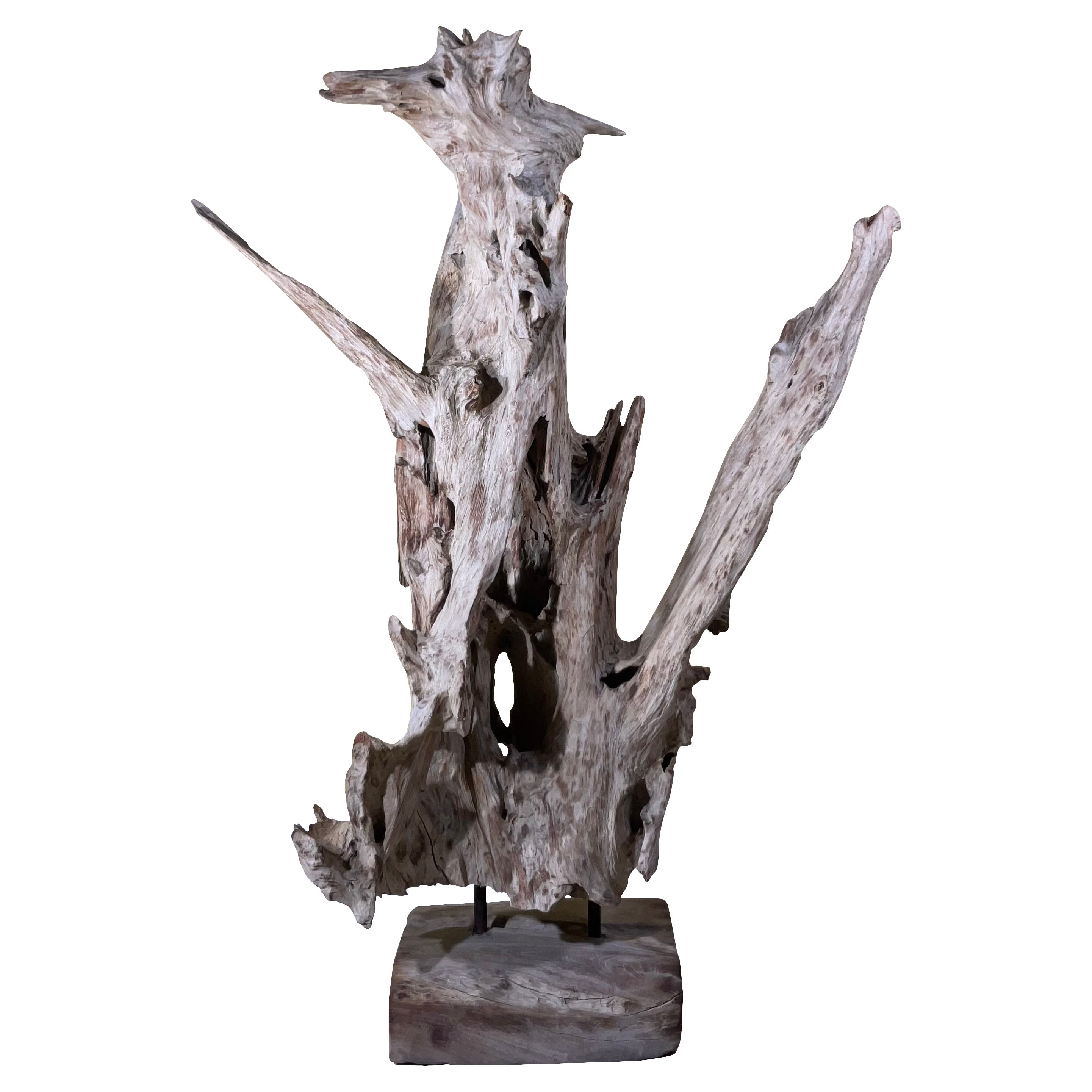 Grande sculpture abstraite en bois flotté naturel
