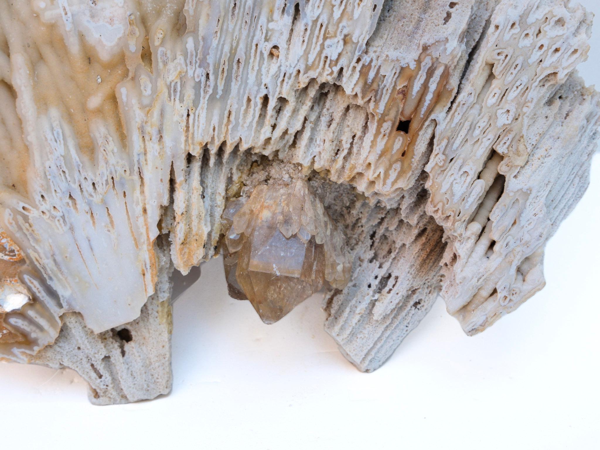 18th Century and Earlier Large Fossil Agate Coral with Polished Citrine Crystal Point For Sale