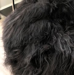Black Shaggy Bean Bag Chair - Icelandic Sheepskin Australian Made