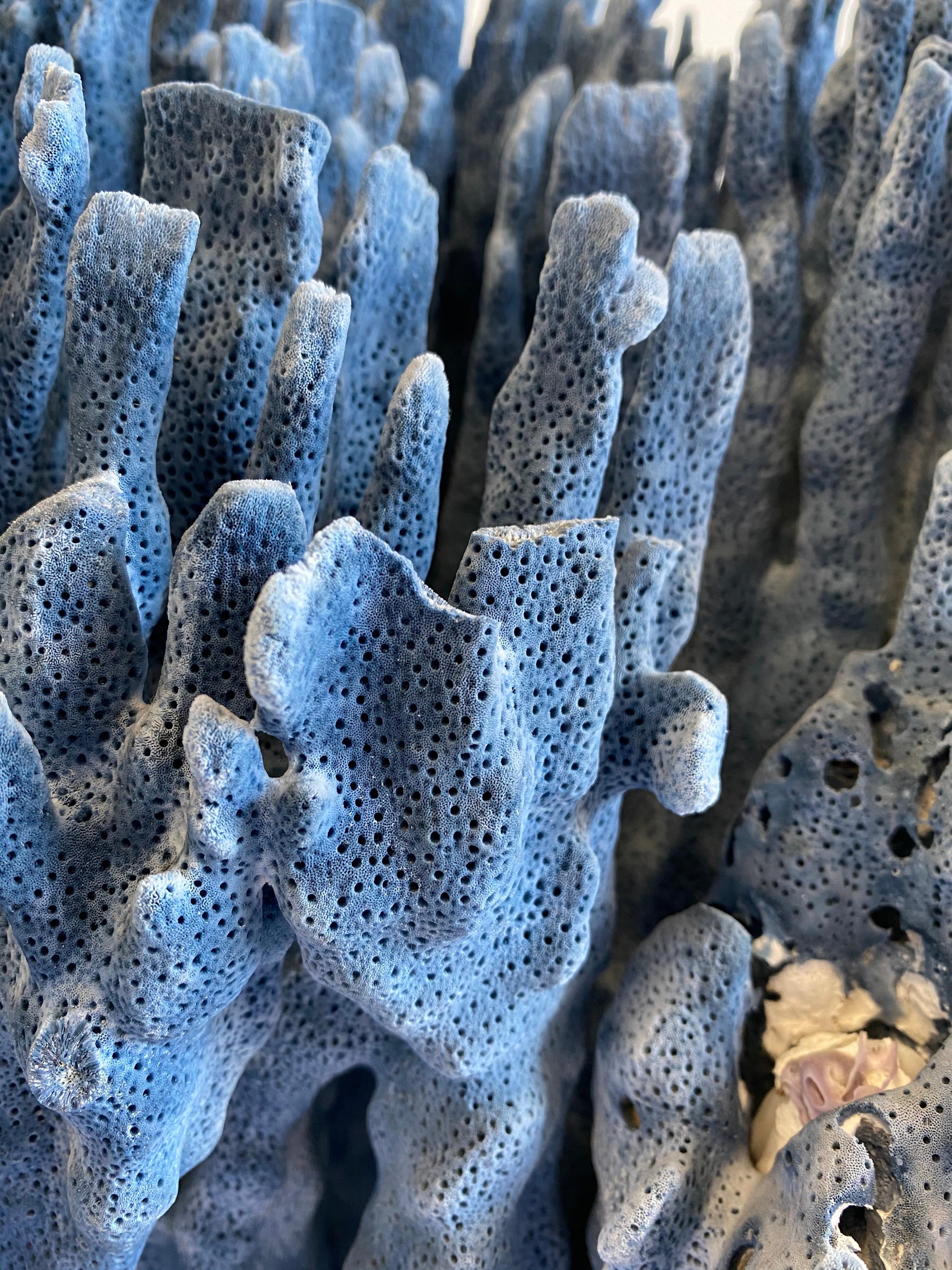 20th Century Large Natural Blue Coral