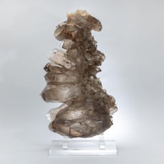 Großer natürlicher brasilianischer Rauchquarz, montiert auf einer individuellen Acrylbasis