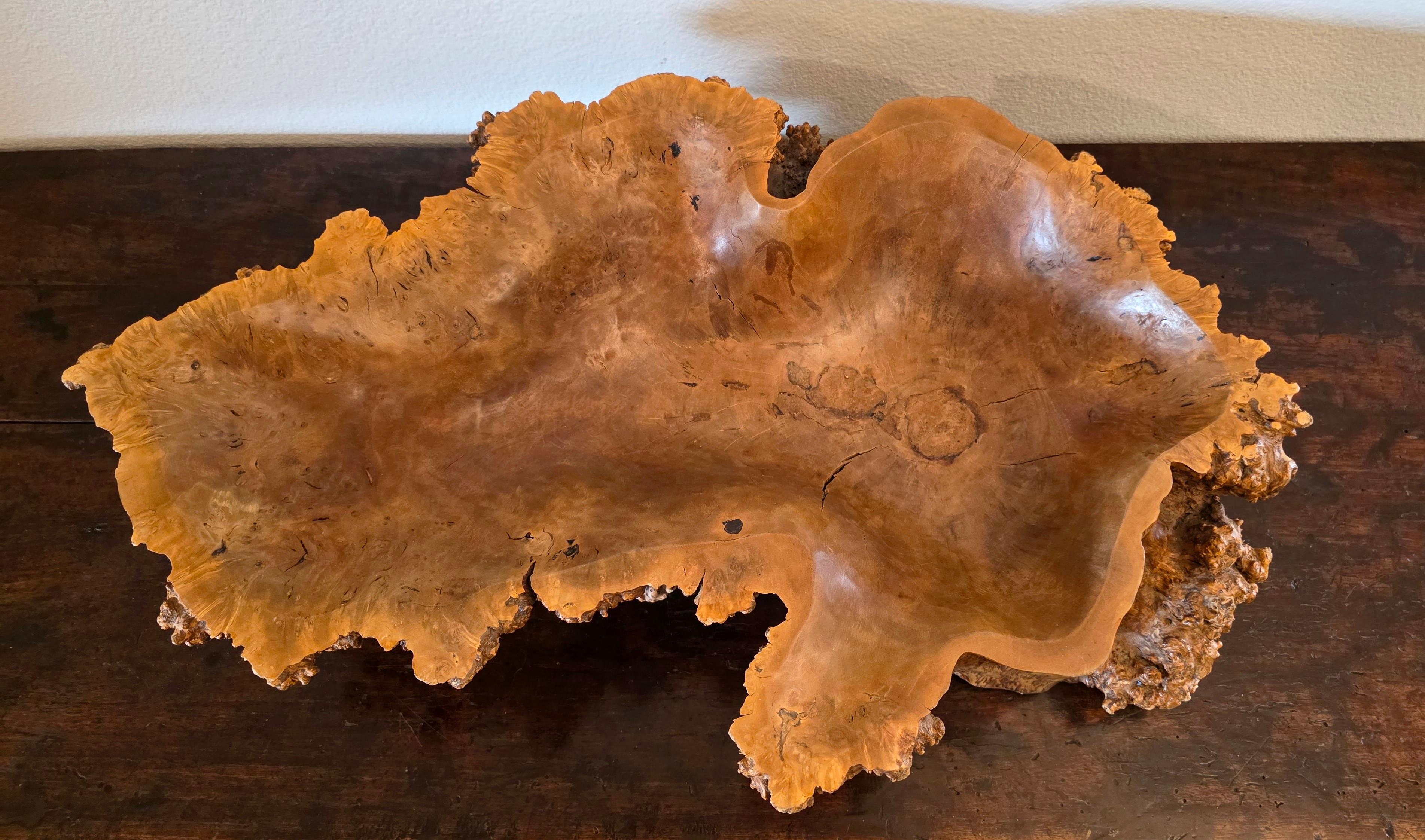 Large Natural Burl Wood Live Edge Carved Bowl Organic Centerpiece Sculpture in vendita 2